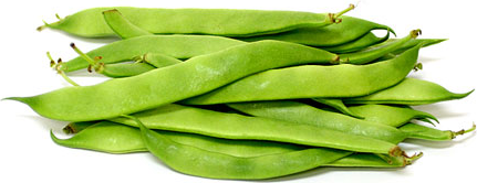 Flat green beans - 500g - Palmyra Orders