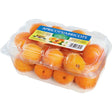 Apricot South Africa Pack - Palmyra Orders