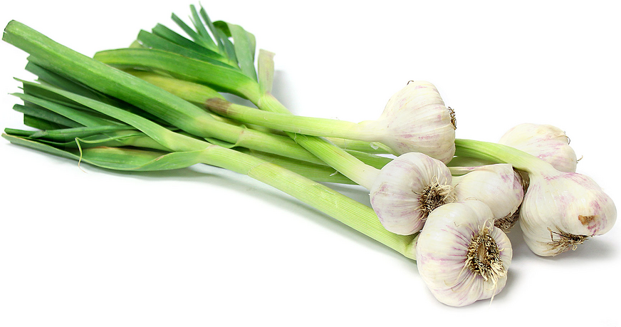 Green Garlic-500g - Palmyra Orders