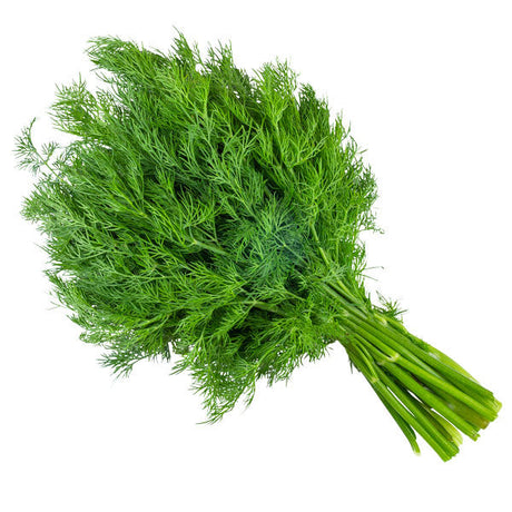 Dill Leaves Large Bunch - Palmyra Orders