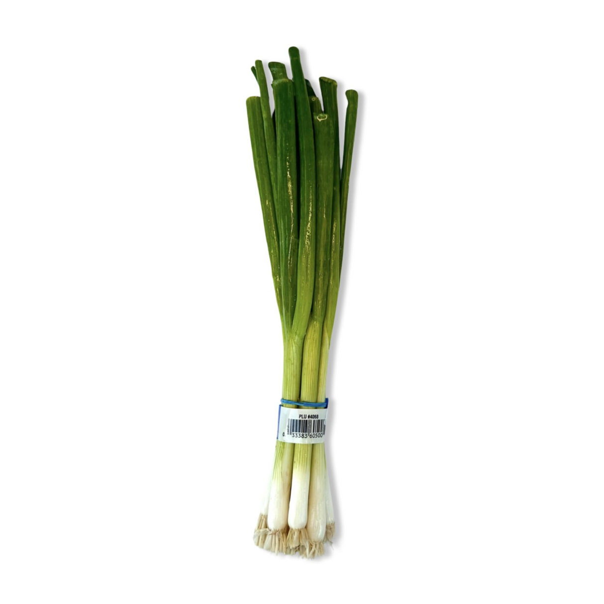 Spring Onion Bunch-4 pieces - Palmyra Orders