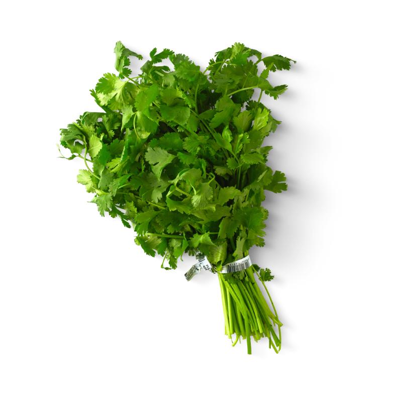 Coriander Leaves Bunch |UAE