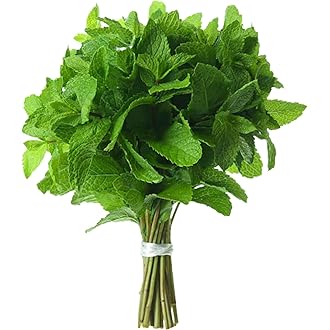 Fresh Mint Leaves Large Bunch - Palmyra Orders