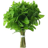 Fresh Mint Leaves Large Bunch - Palmyra Orders