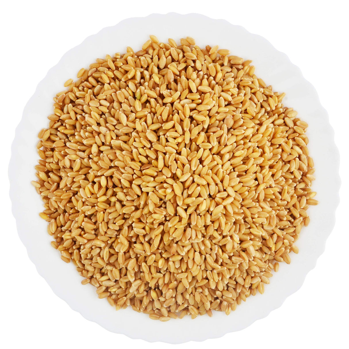 Peeled Wheat-500g - Palmyra Orders