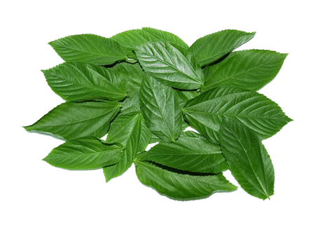 Fresh Organic Molokhia 500g vegetables