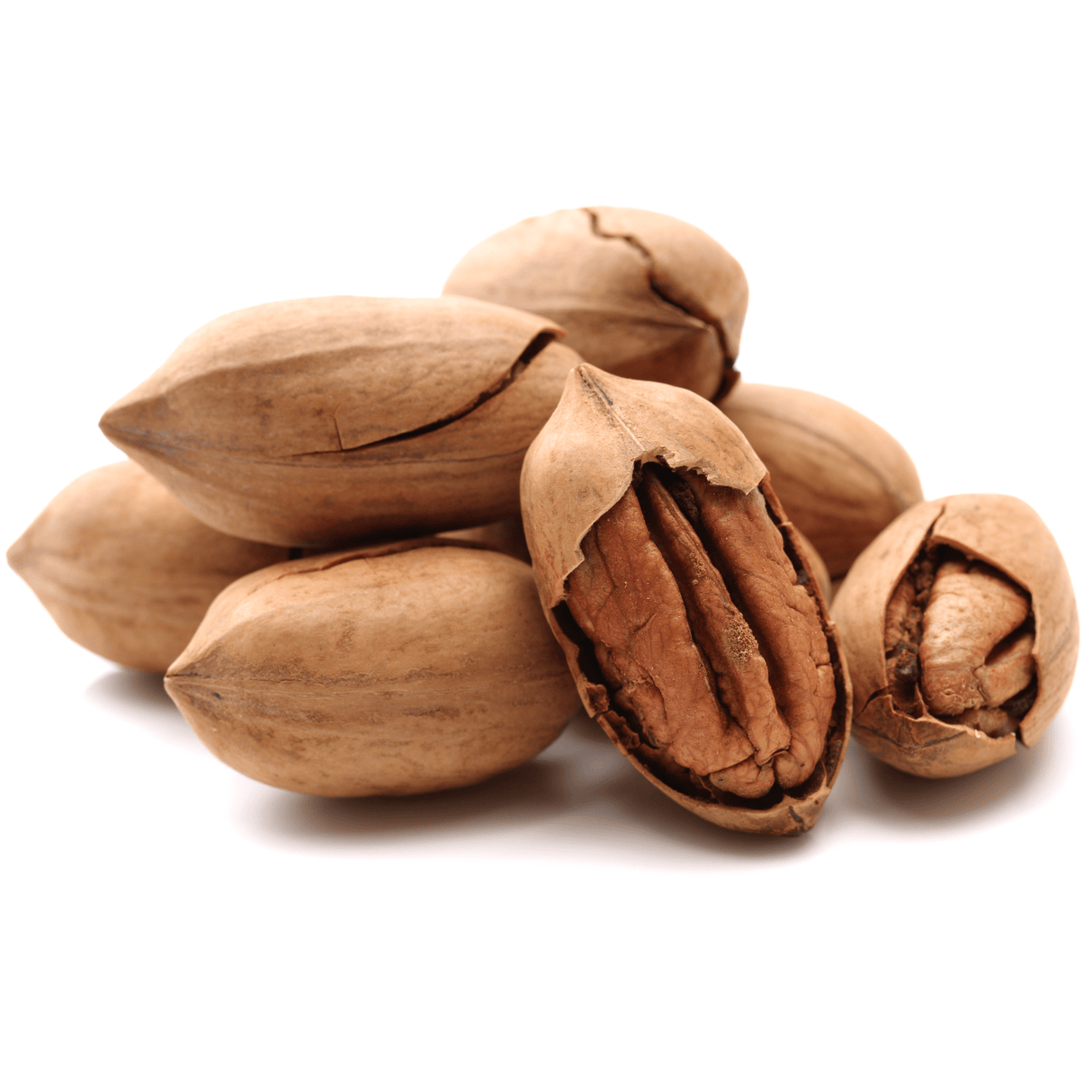 Roasted Pecan Nuts in Shell – 250g - Palmyra Orders
