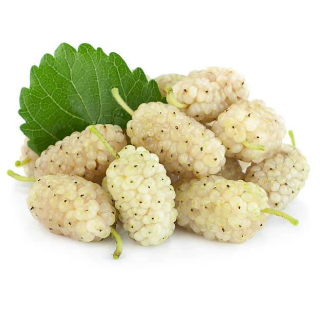Organic White Mulberry – 500g | Naturally Sweet & Nutritious, Fresh Fruits In Dubai, Abu Dhabi, Sharjah, Ajman, UAE.
