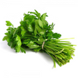 Coriander Leaves Bunch Large Bunch - Palmyra Orders