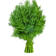 Dill Leaves Large Bunch - Palmyra Orders