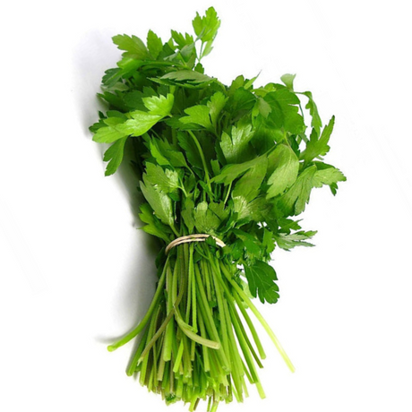 Coriander Leaves Bunch Large Bunch - Palmyra Orders