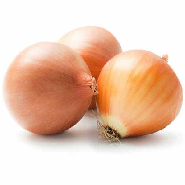 brown onion australia with rich, savory flavor