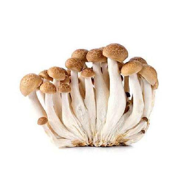 Brown Shimeji Mushroom China 150g - Shop Your Daily Fresh Products - Free Delivery 