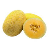 Cantaloupe Fruit-1Pc FRUITS
