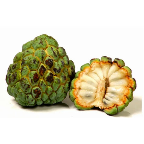 Whole and Fresh cherimoya fruit on a white background
