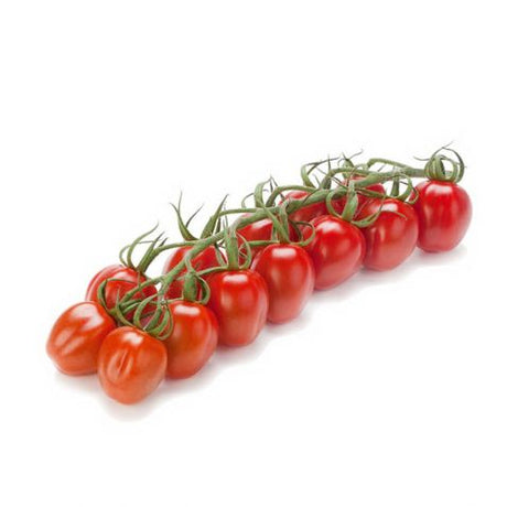 "Fresh bunch of vibrant, organic cherry tomatoes with a rich red color."