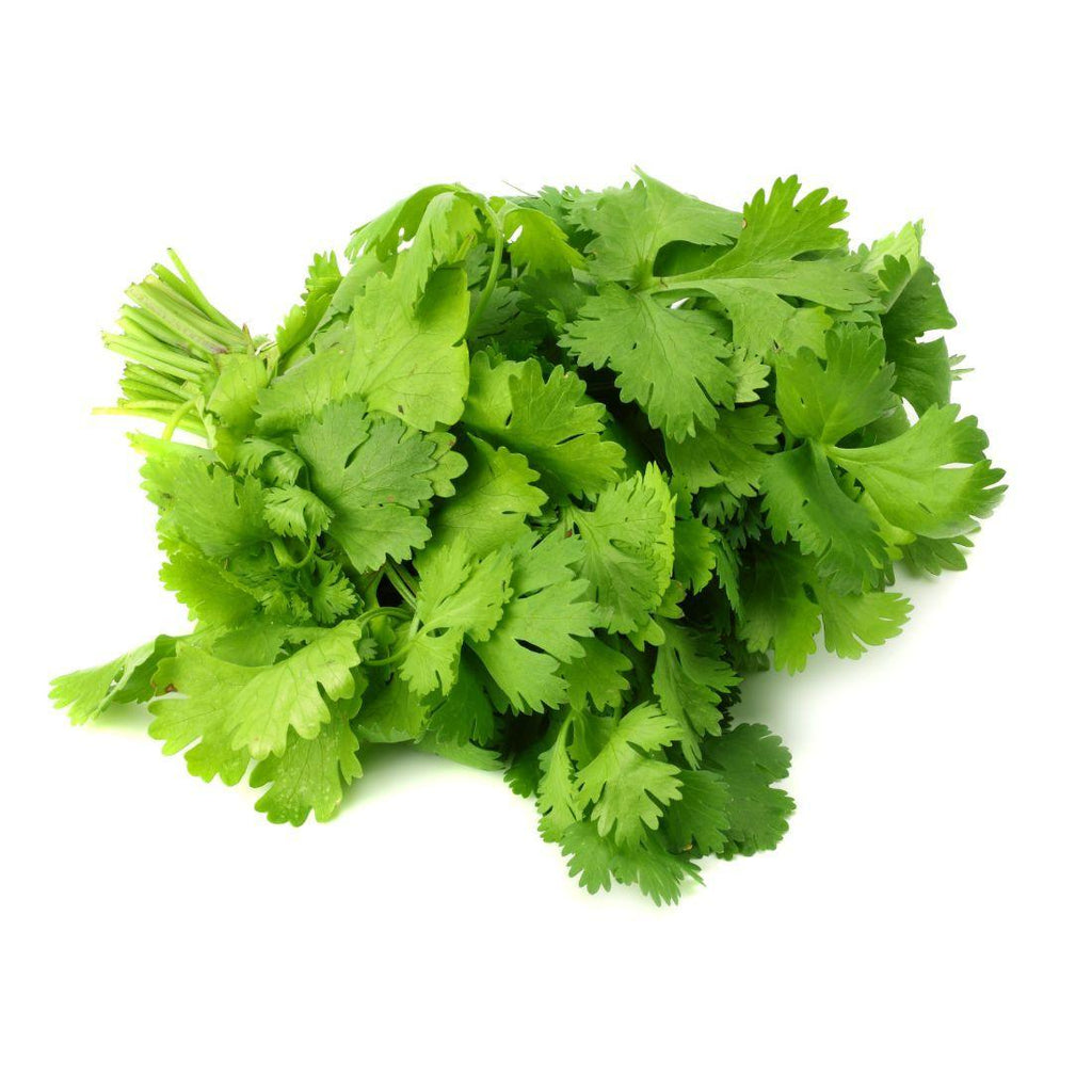 Coriander Leaves Bunch - Shop Your Daily Fresh Products - Free Delivery 