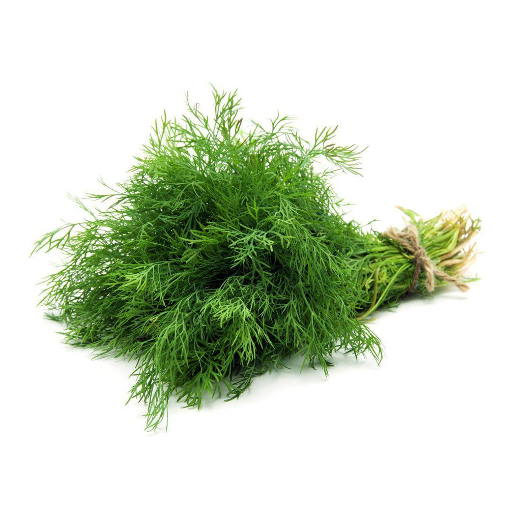 Dill Leaves Bunch - Shop Your Daily Fresh Products - Free Delivery 