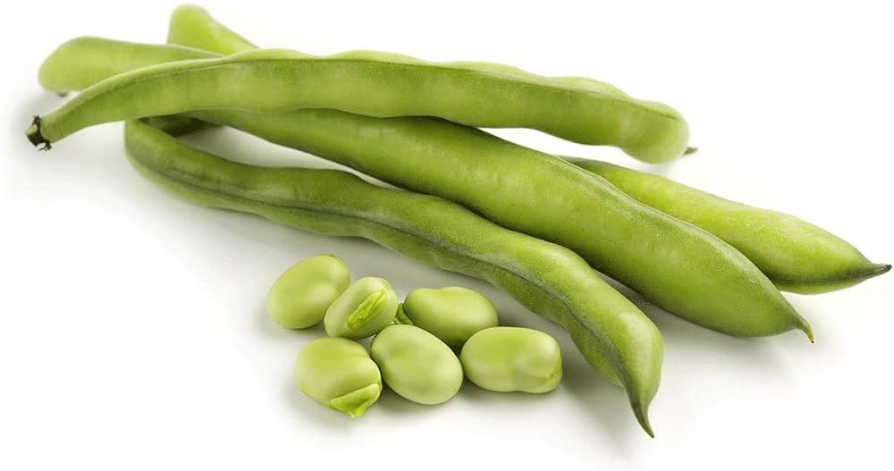 Fava Beans PKT - Shop Your Daily Fresh Products - Free Delivery 