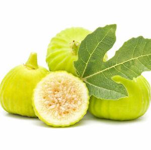 Fig Gold 500g - Shop Your Daily Fresh Products - Free Delivery 