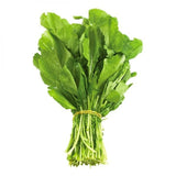 Fresh Arugula (Gerger)-Bunch - Palmyra Orders