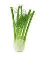 Fennel Bunch 1 Pc - Palmyra Orders