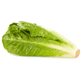 Fresh Lettuce-1pcs - Palmyra Orders UAE