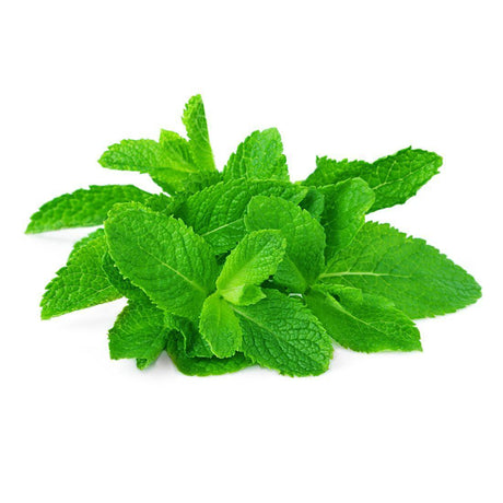 Fresh Mint Leaves 100g - Shop Your Daily Fresh Products - Free Delivery 