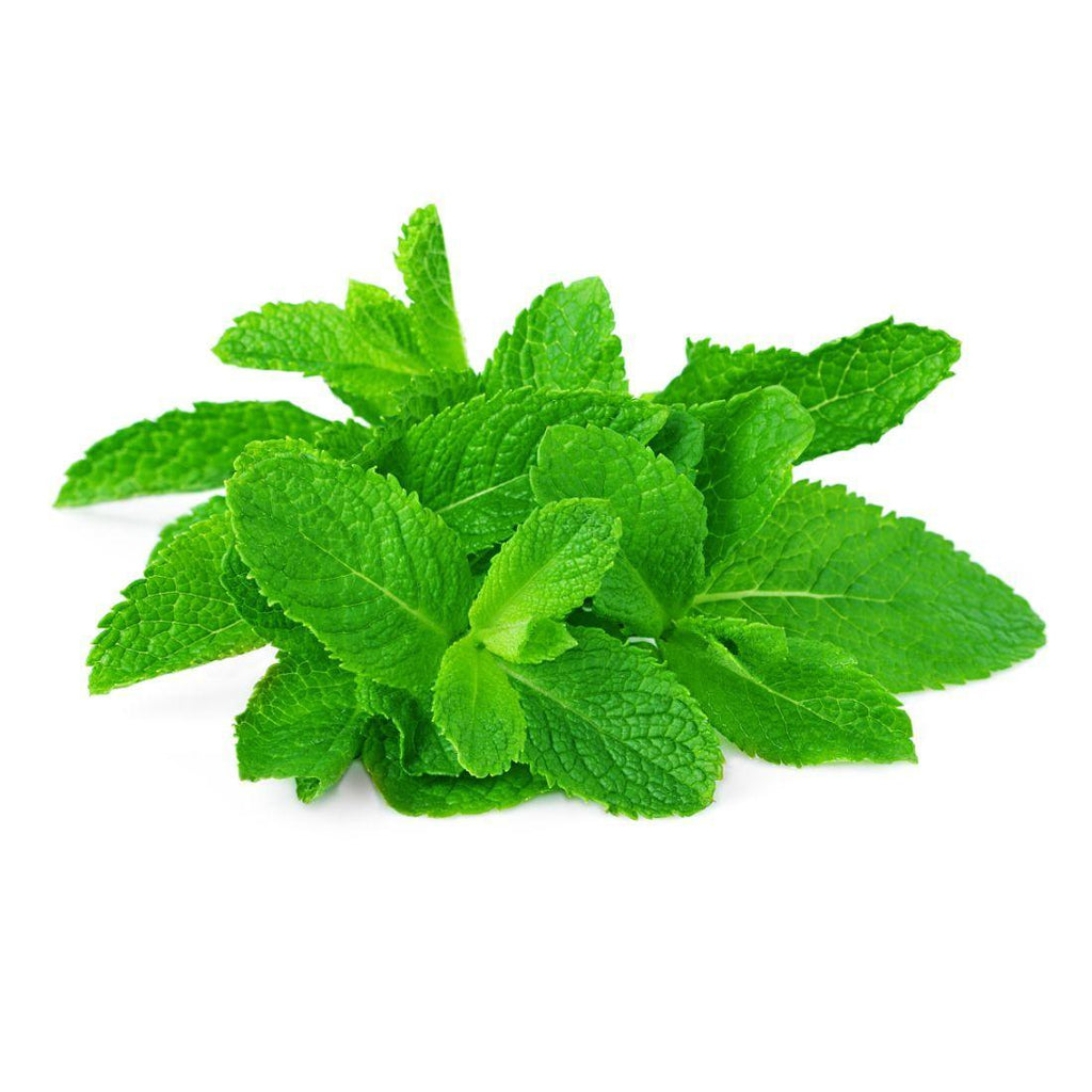 Fresh Mint Leaves 100g - Shop Your Daily Fresh Products - Free Delivery 