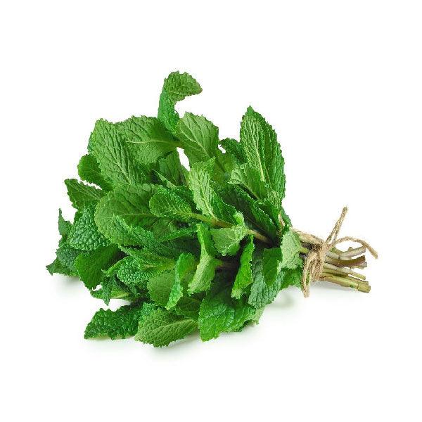 Mint Leaves 100g - Shop Your Daily Fresh Products - Free Delivery 