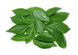 Fresh Organic Molokhia 500g vegetables