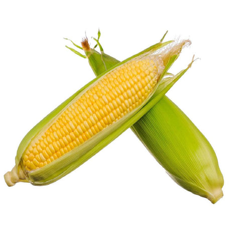 Fresh Sweet Corn-500g - Palmyra Orders