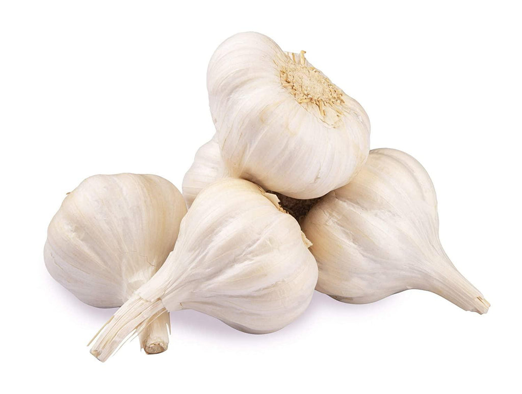 Garlic Egypt 500g - Shop Your Daily Fresh Products - Free Delivery 
