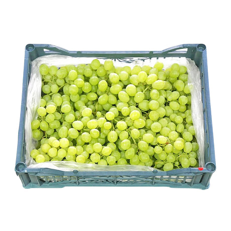 Box of green grapes on a white background, Grapes White Seedless, Small Size-500g, Palmyra Orders UAE.