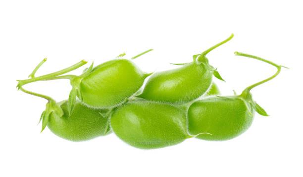 Green Chickpeas 1 kg - Shop Your Daily Fresh Products - Free Delivery 