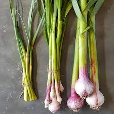 Green Garlic 500g - Shop Your Daily Fresh Products - Free Delivery 