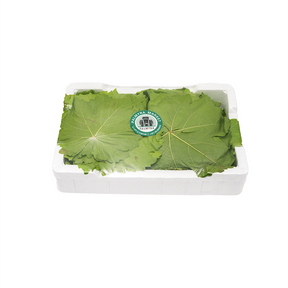 Green Grape Leaves-PKT 