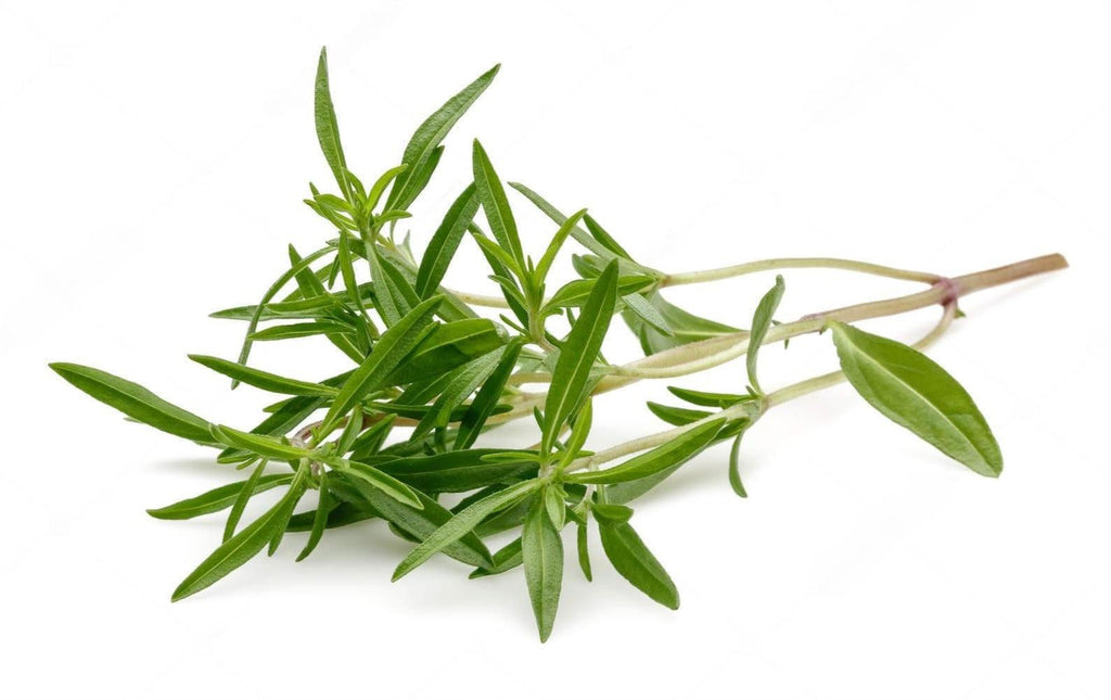 "Fresh green thyme herbs, perfect for seasoning and garnishing dishes."