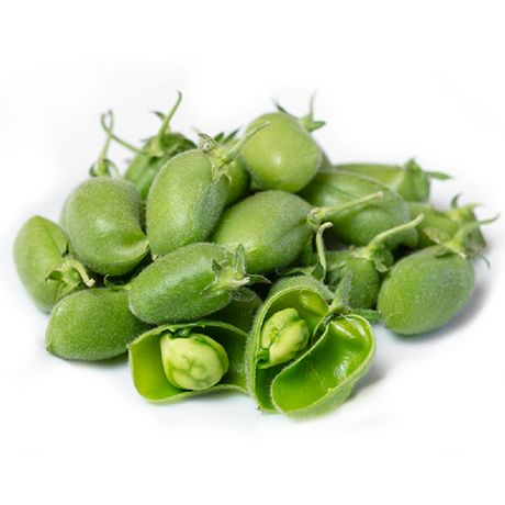 Fresh green chickpeas (500g) displayed in their natural state, showcasing vibrant color and premium quality.