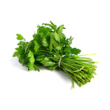 Coriander Leaves Bunch Large Bunch - Palmyra Orders