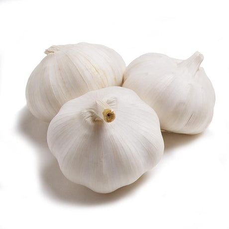 syrian  Garlic-500g - Palmyra Orders