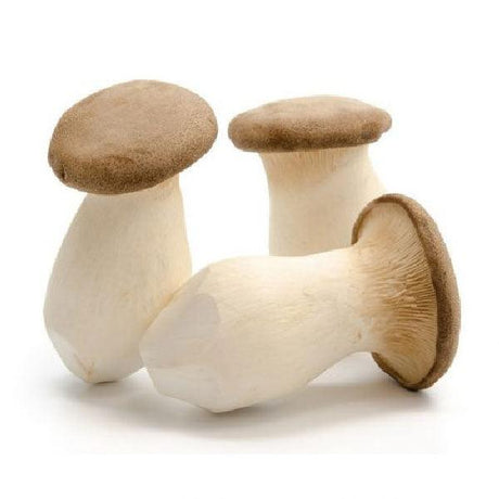 King Oyster Mushroom pack - Shop Your Daily Fresh Products - Free Delivery 