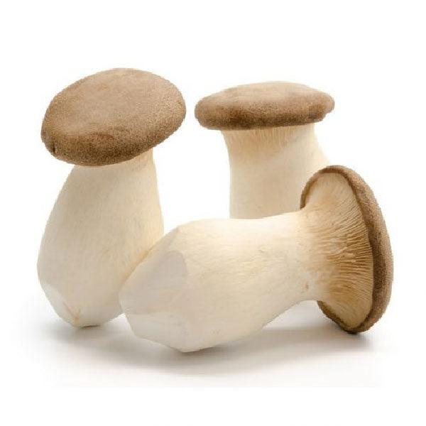 King Oyster Mushroom pack - Shop Your Daily Fresh Products - Free Delivery 