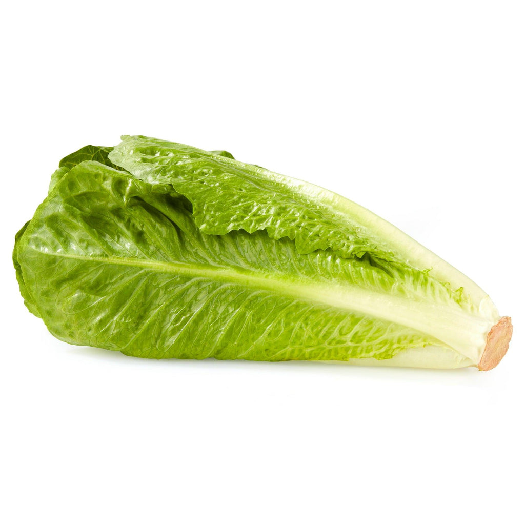 Enhance your meals with our Lettuce 1 Piece! This tender and crispy lettuce adds nutrition to your plate, packed with vitamins and minerals. Enjoy its vibrant color and delicious taste in salads, sandwiches, or as a healthy wrap. Elevate your diet with our Lettuce 