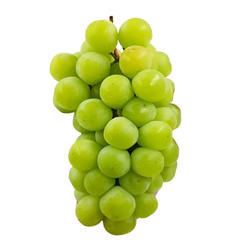 "A close-up of fresh, golden-green Shine Muscat Grapes, showcasing their smooth, seedless skin and juicy texture. Perfect for snacking, salads, or desserts."