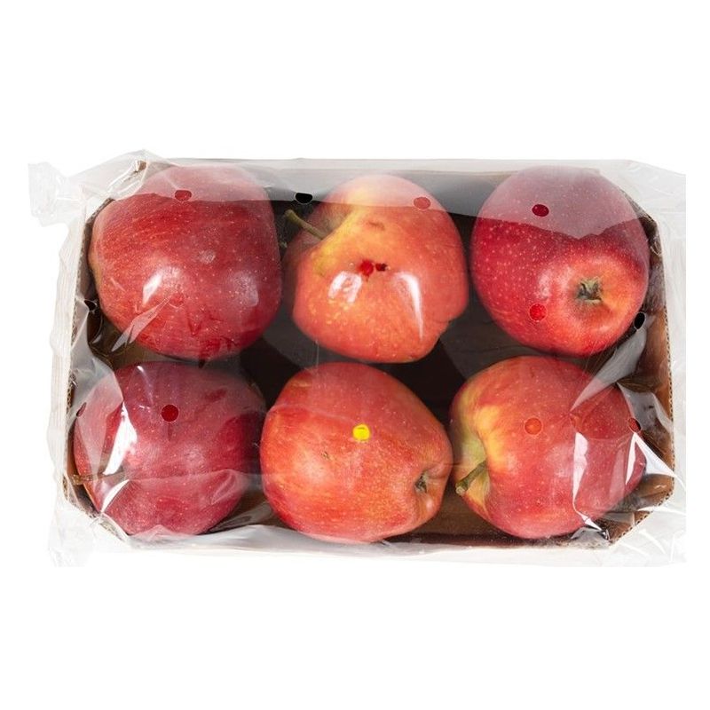 Organic Iranian Apples, fresh and juicy, handpicked at peak ripeness, offering a deliciously crisp texture and natural sweetness, perfect for a healthy lifestyle and versatile for any meal.