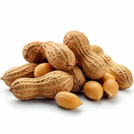 Roasted Peanut in Shell 250g - Palmyra Orders