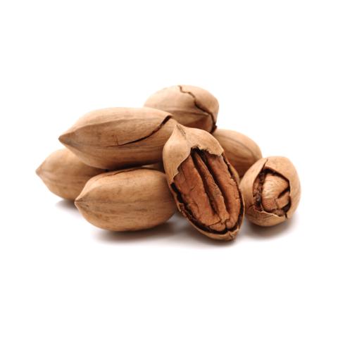 Roasted Pecan Nuts in Shell – 200g - Palmyra Orders
