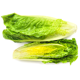 Lettuce  1250g ( Approx ±50 ) - Palmyra Orders