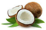 Coconut Dry-1 pc - Palmyra Orders